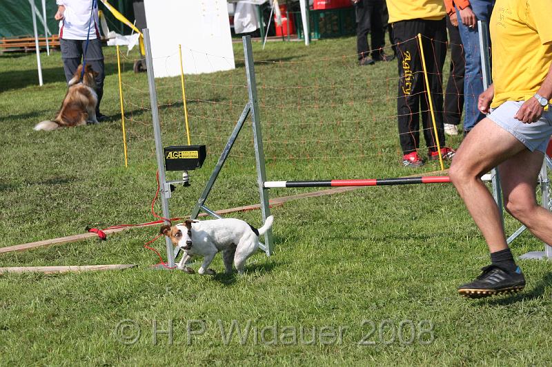 jubil.lusten. 149.jpg